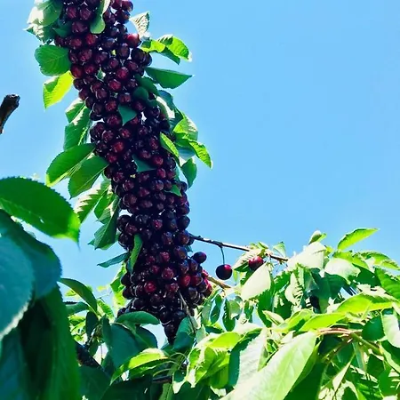 La Escondida בית נופש טורנבקאס