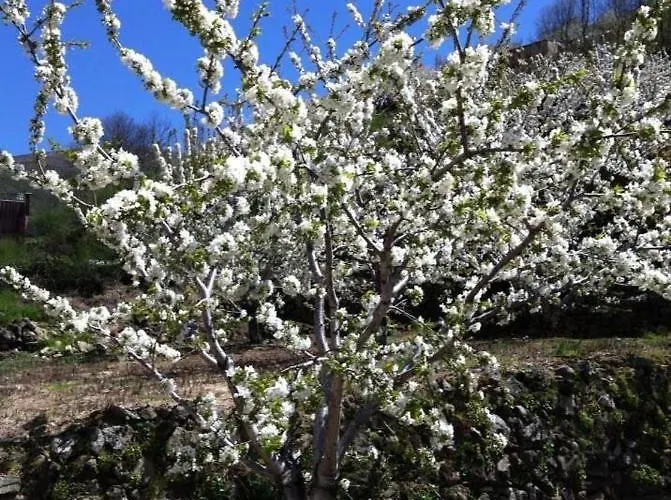 La Escondida Vakantiehuis