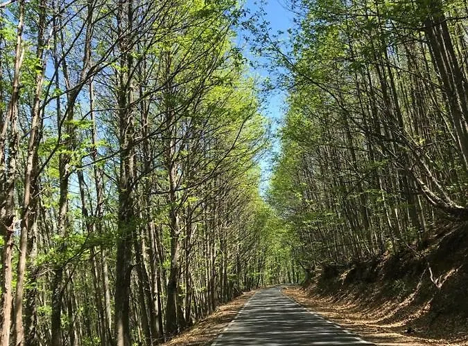 Vakantiehuis La Escondida