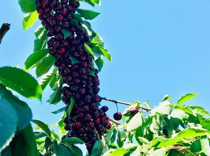 La Escondida Vakantiehuis Tornavacas